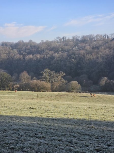 Haras d'Halwiry - photo 2