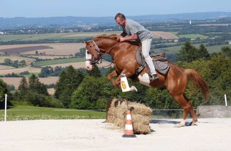Écurie de Pennalé - photo 1