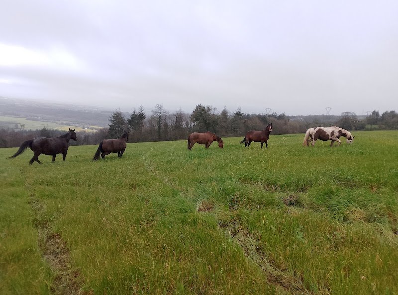 Écurie de Pennalé - photo 2