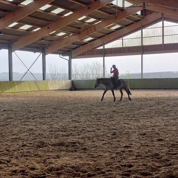 Le domaine du cheval de Lezalain - photo 2