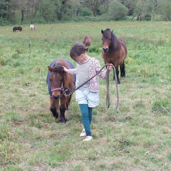 Le domaine du cheval de Lezalain - photo 3