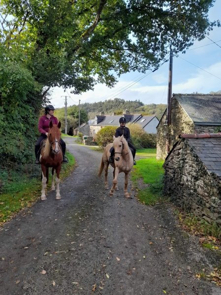 écurie la petite bohème - centre équestre - école d'équitation - photo 2