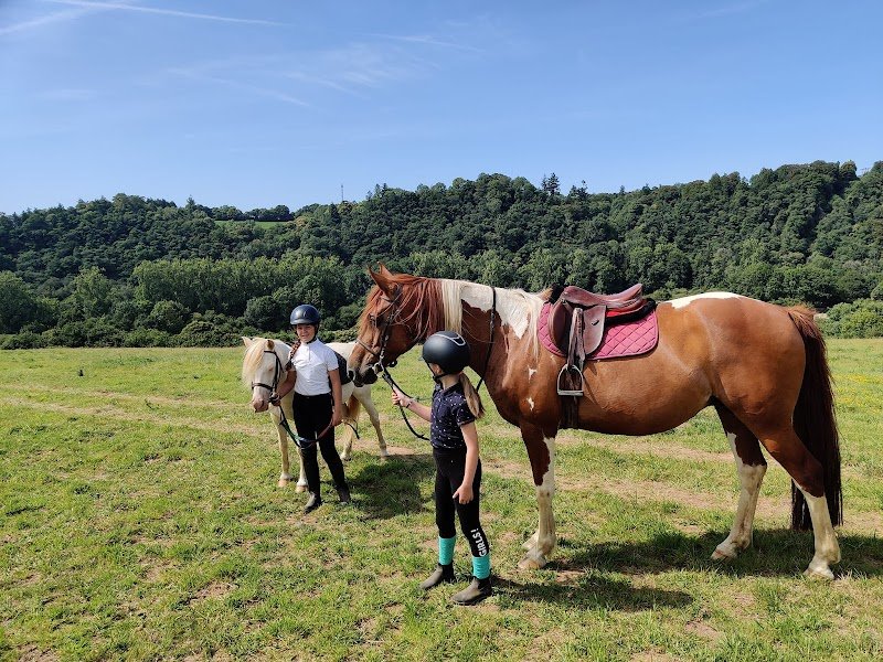 écurie la petite bohème - centre équestre - école d'équitation - photo 3