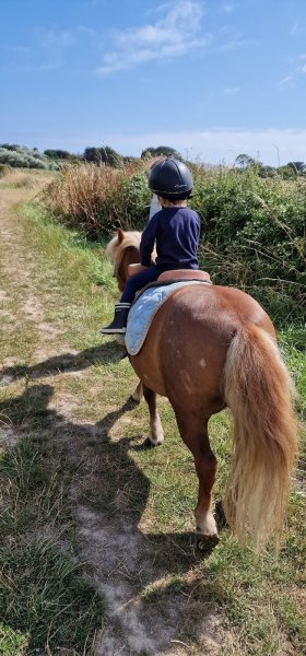Centre Equestre de la Joie - photo 2