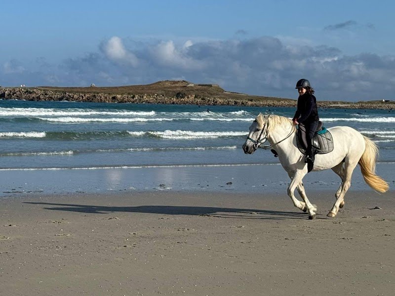 Centre Equestre de la Torche - photo 1