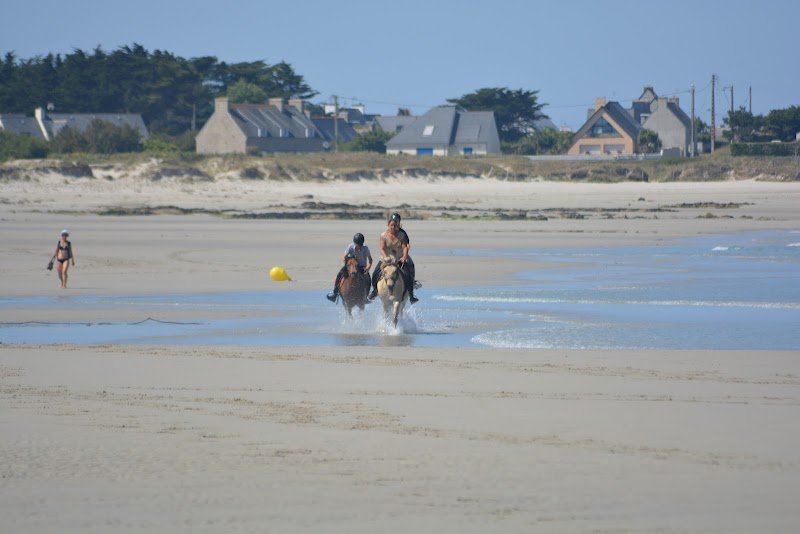 Centre Equestre de la Torche - photo 3