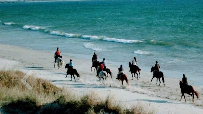 Centre équestre le Trèfle - photo 2