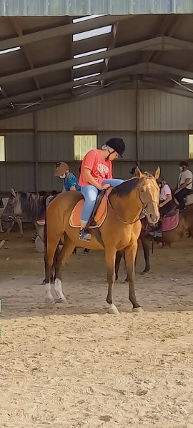 Centre Equestre de Kervignon - photo 2