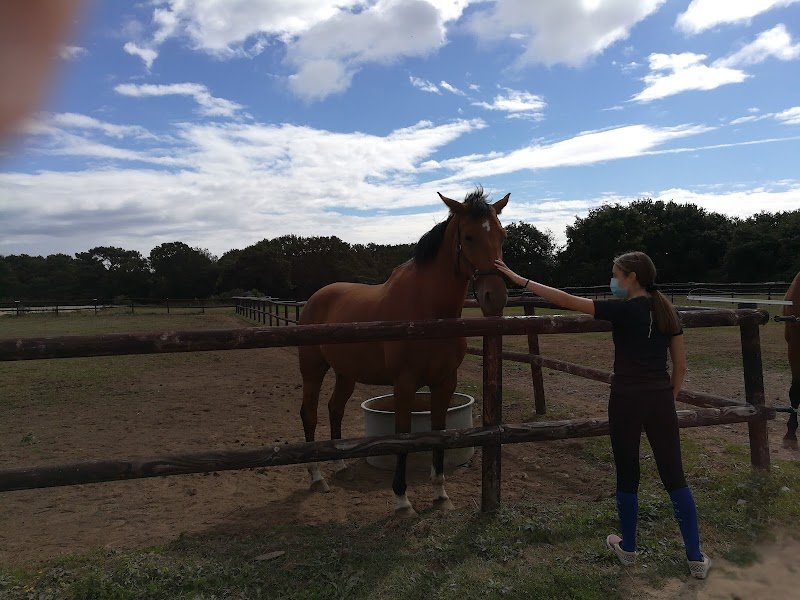 Centre Equestre de Kervignon - photo 3