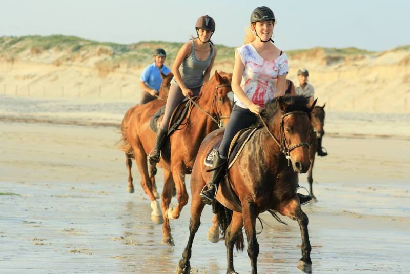 Poney-Club de Combrit - photo 3