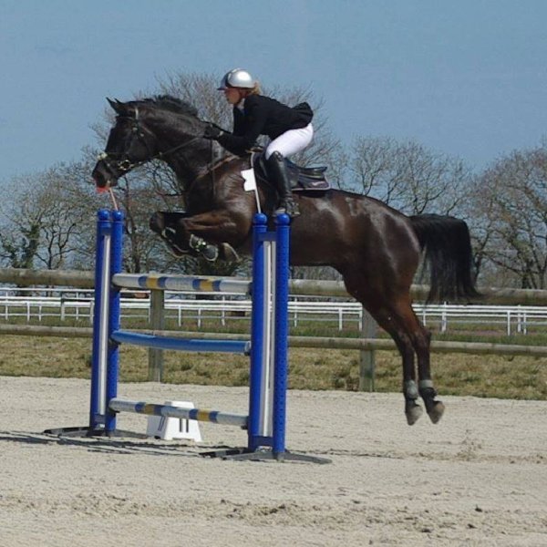 centre équestre Ar Roc'h