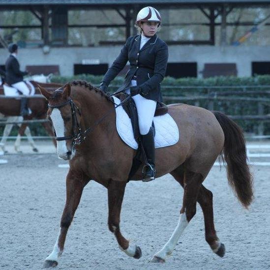 centre équestre Ar Roc'h - photo 2