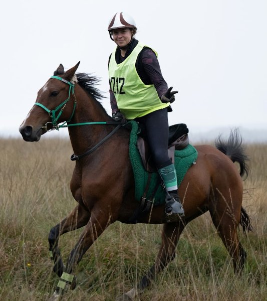centre équestre Ar Roc'h - photo 3