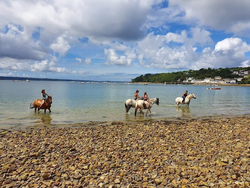 Base équestre de Kerzivez - photo 2