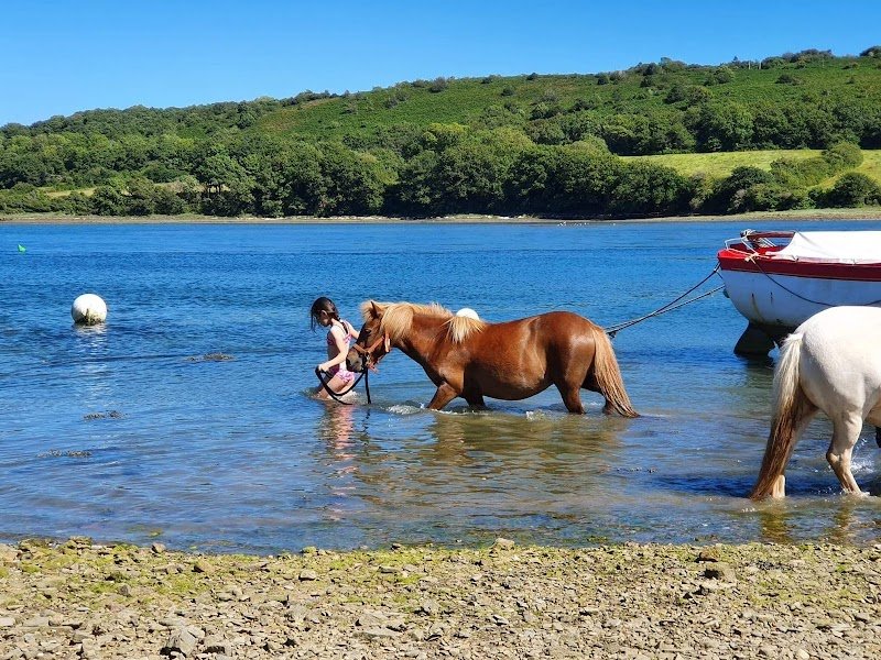 Base équestre de Kerzivez - photo 3