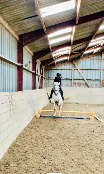 Poney-club Blue Nash - photo 2