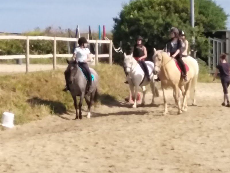 Poney-club Blue Nash - photo 3