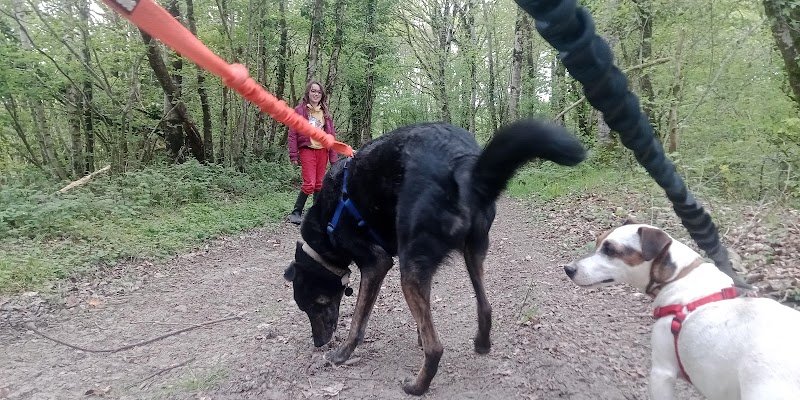 Pension Ti Gard - photo 1