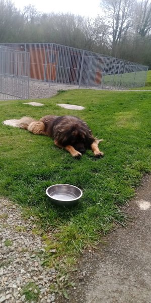 Pension Ti Gard - photo 2