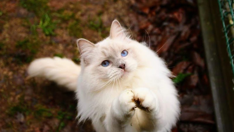 Pension du Domaine de Jude - photo 1