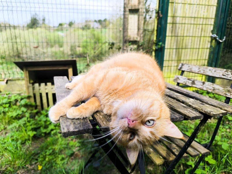 Pension du Domaine de Jude - photo 2