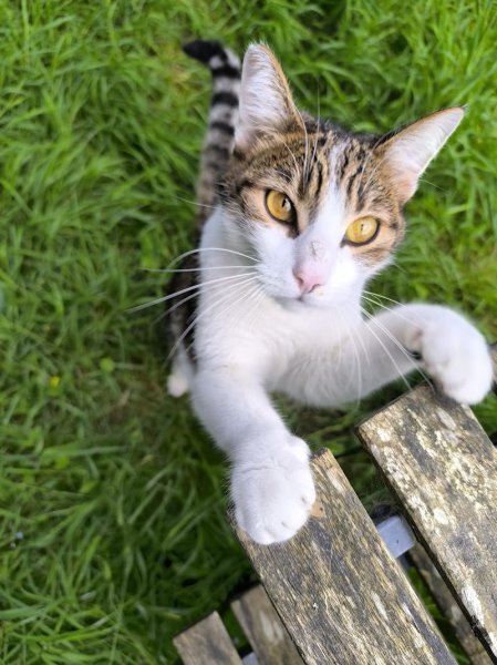 Pension du Domaine de Jude - photo 3