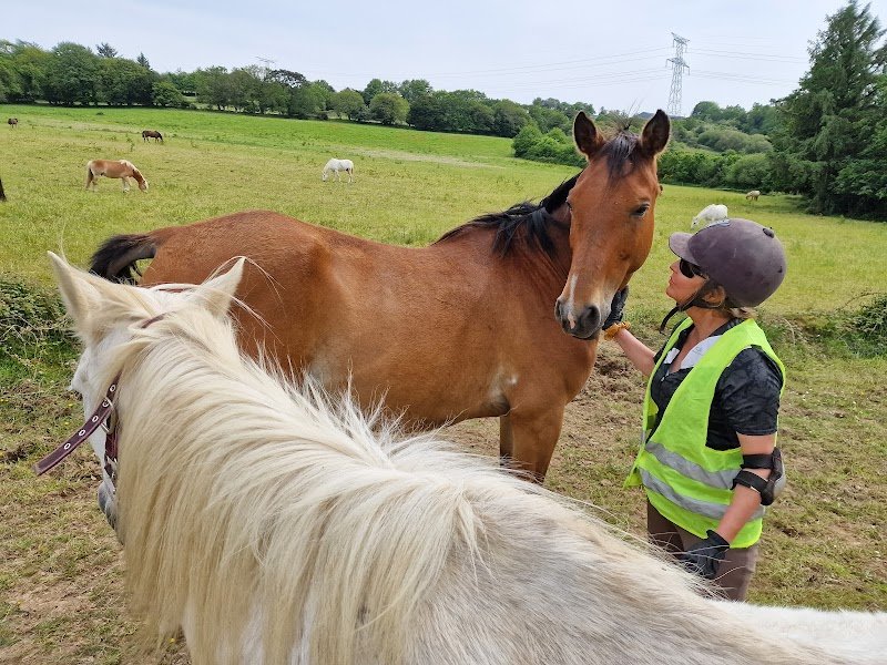 Centre Equestre du Cranou
