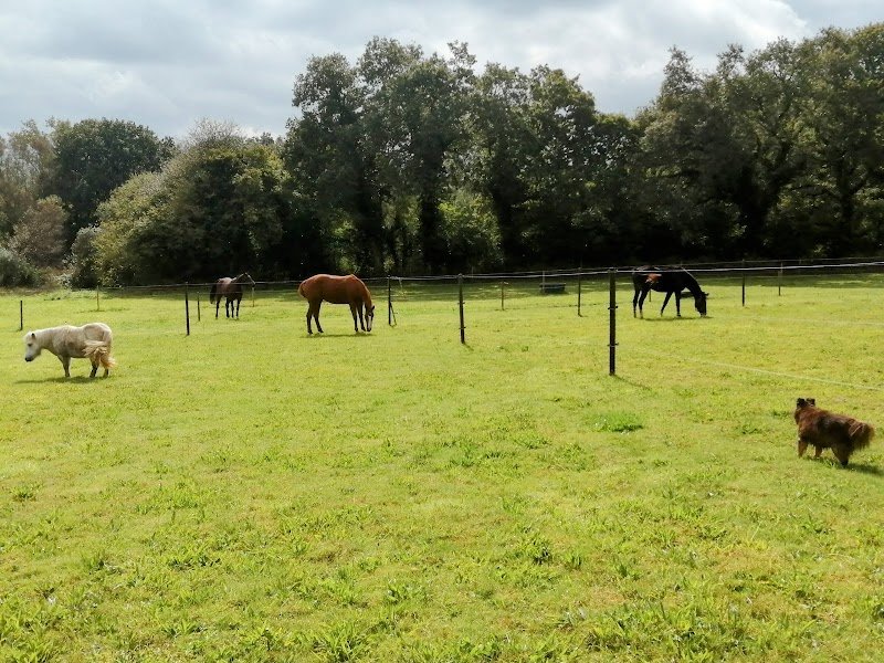 Gîte et Écurie de Kergoz - Céline Rivoal - photo 3