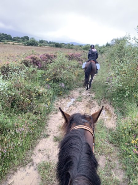 Centre équestre de l'Arrée - photo 1