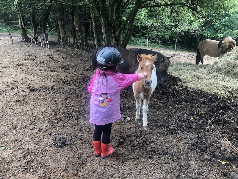Centre équestre de l'Arrée - photo 2