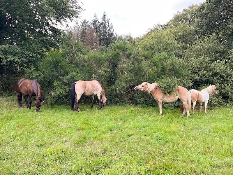 Centre équestre de l'Arrée - photo 3