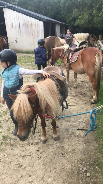 Centre Equestre Quimper - Poney Club de Lanveron - photo 2