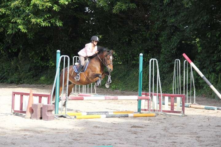 Centre Equestre Quimper - Poney Club de Lanveron - photo 3