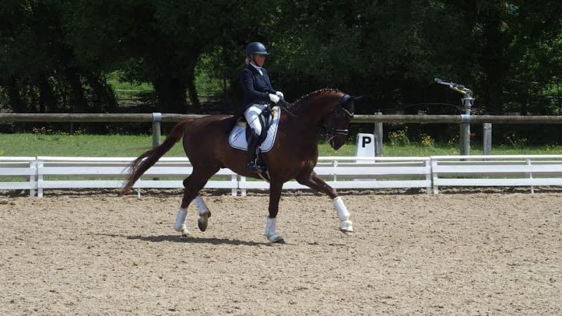 Les Écuries de Coatélan - photo 2