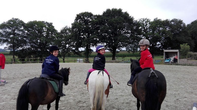 Les Ecuries Des Trois Allures - photo 1