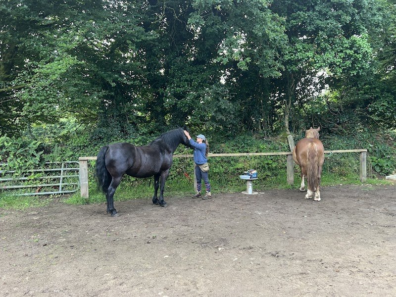 Les Chevaux du Néour - photo 2