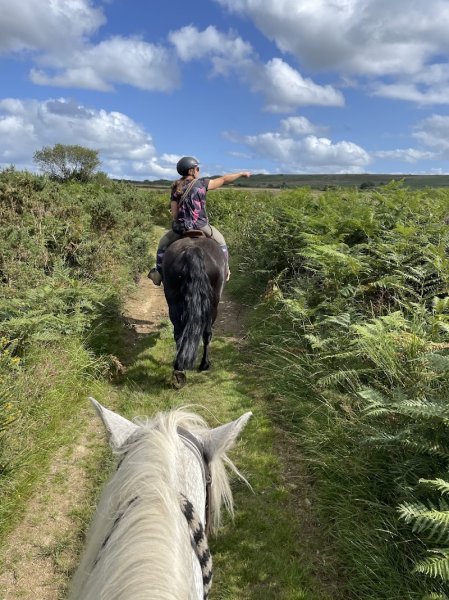 Les Chevaux du Néour - photo 3