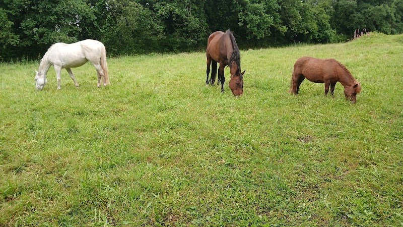 Les écuries de Brennilis - photo 2