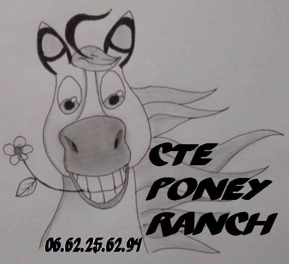 CENTRE de Tourisme EQUESTRE * KEREMMA EQUITATION * PONEY-RANCH - photo 3