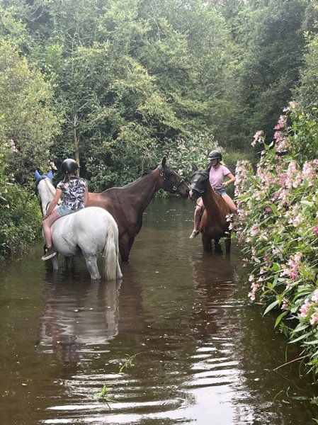 Ecurie de L'Ellez - photo 3