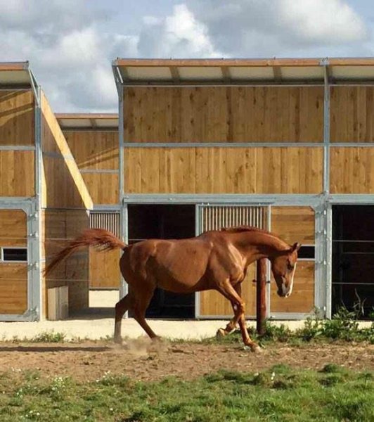 Écurie Julien Goachet - photo 2