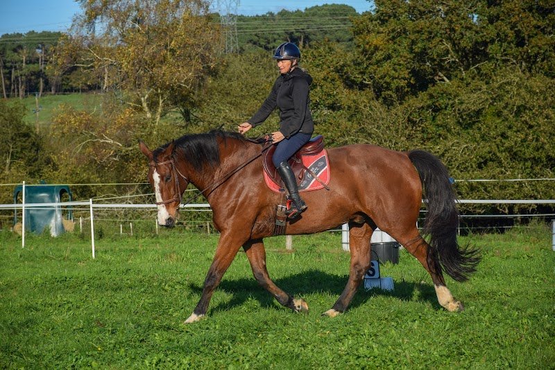Ferme Equestre de Kerroch - photo 3
