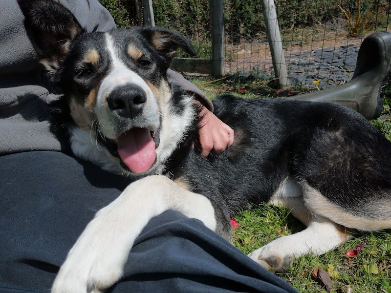 Pension du petit Léon - photo 2