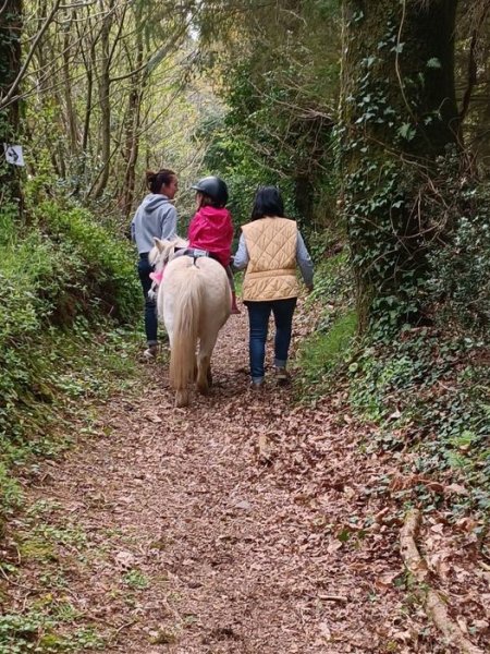 poney club de ty nadan