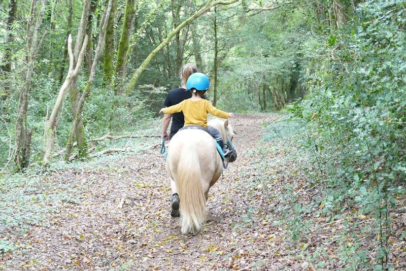 Ferme équestre du Litli Hestur - photo 1