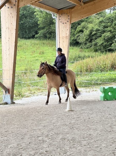 Ferme équestre du Litli Hestur - photo 3