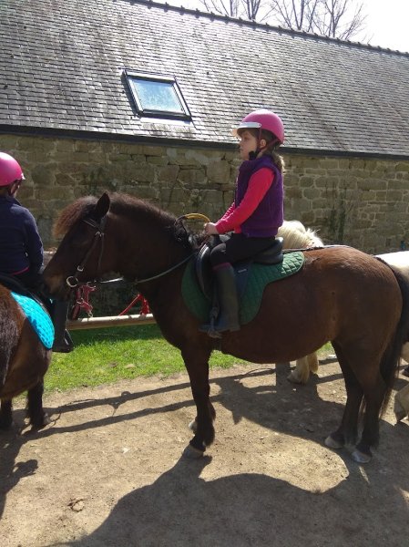 Poney-club de Kerzon Quimper - Landudal - photo 2