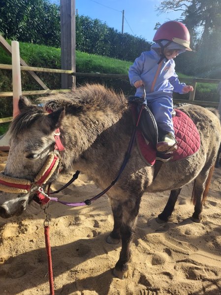 Poney-club de Kerzon Quimper - Landudal - photo 3