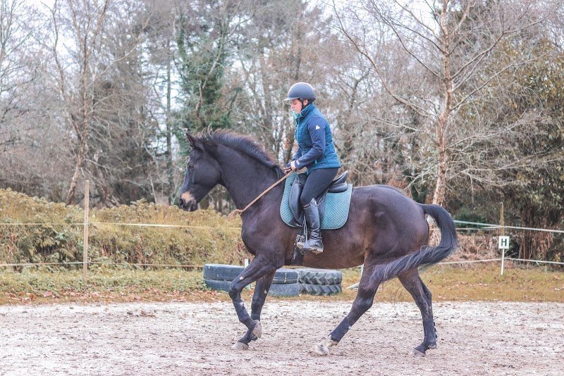 NaturDress/écurie de KerVi - photo 1