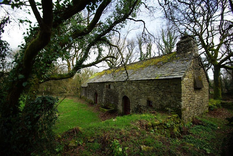 Au Cul du cheval - calèche - photo 1